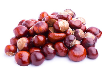 Collection of chestnuts isolated on white background