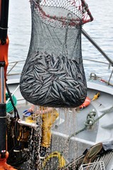 pêche et pêcheur