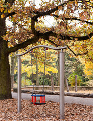 Eine Schaukel in herbstlicher Kulisse