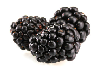 beautiful blackberries isolated on white