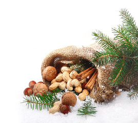 Nuts and spices in winter snow