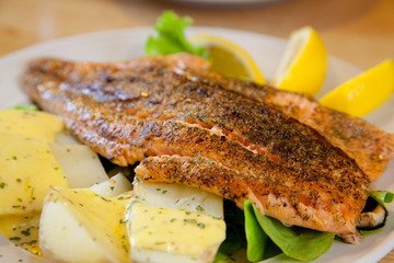 Grilled Salmon Steak