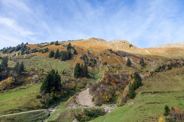 Fototapeta na wymiar Alpy Berneńskie, Szwajcaria