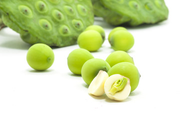 Lotus seeds
