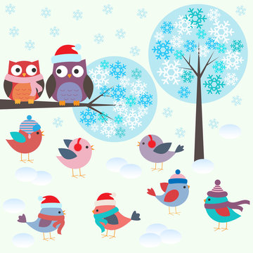 Birds and owls in winter forest