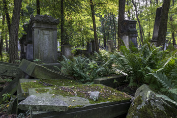 Obraz premium Old graves at historic Jewish cemetery in Warsaw, Poland