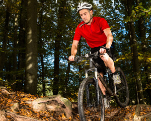 Fototapeta premium Mountainbiker im Downhill