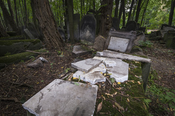 Old, historic Jewish cemetery in Warsaw, Poland