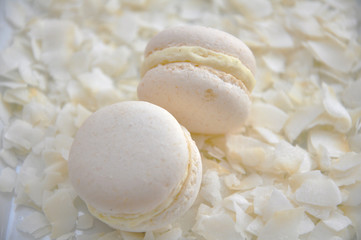 Kokos Macarons