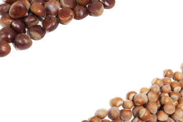 chesnuts and hazelnuts frame on white background