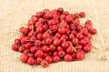 Hawthorn on sack background close-up