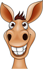Smiling donkey head