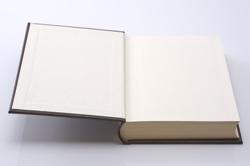 開いた白紙の本