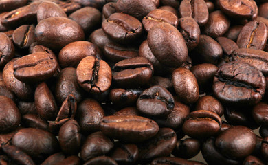 Naklejka premium Coffee Beans