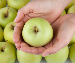 Äpfel mit Hand I