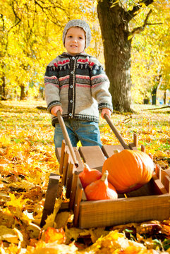 Little Child With A Wheelbarrow