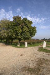 passirano