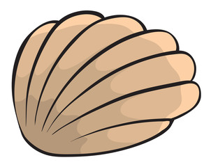 shell