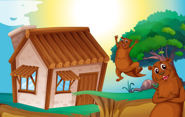 wooden house and otters