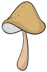 a mushroom
