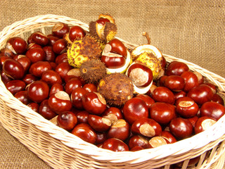 Chestnuts basket