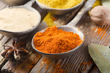 Fototapeta na wymiar Assortment of powder spices on spoons