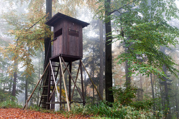 Hochsitz im Herbstwald