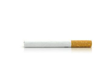 One Cigarette isolated on the white background