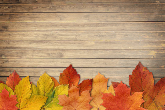 Herbstbl&auml;tter auf Holzhintergrund
