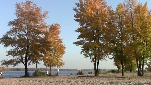 autumn river beach trees