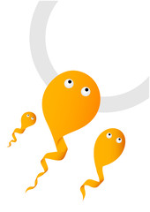 Sperm and Egg, vector illustration
