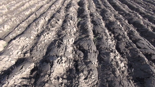 plowed autumn farm field panorama