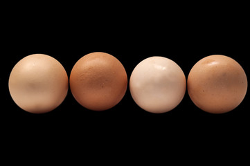 eggs on a black background