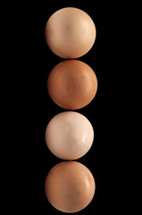 eggs on a black background
