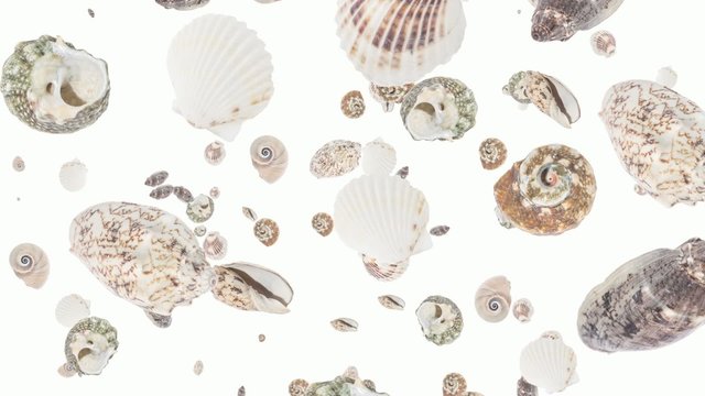 Shells falling down