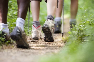 Foto op Plexiglas shoes of people trekking in wood and walking in row © Diego Cervo