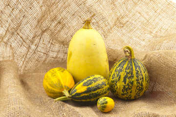 Small decorative pumpkins.
