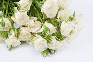 White roses
