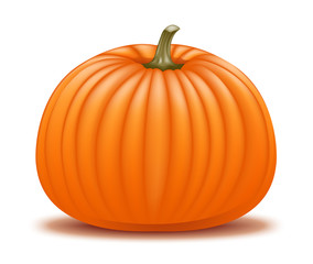 Obraz premium Pumpkin