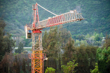 Crane in the city with a beautiful sunlight