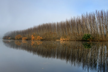 Reflexos de Inverno no Rio