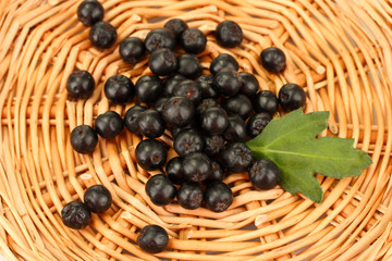 chokeberry with green leaf on wicker mat close-up