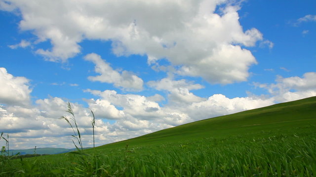 green hill with grass under cloudy sky