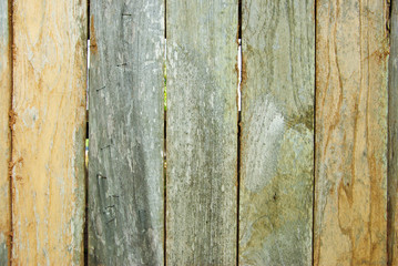 wood texture background