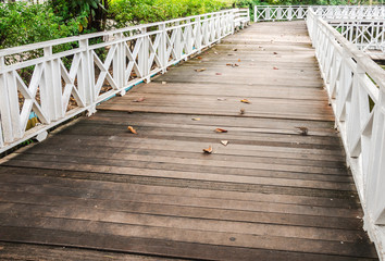 Obraz premium Wooden bridge pathway