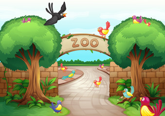 Plakaty  Scena zoo Zoo