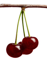 Sweet cherries