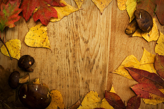 Leaves on a board