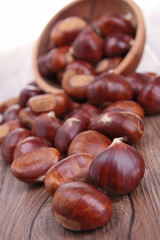 chestnut