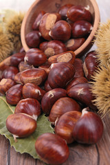 chestnut